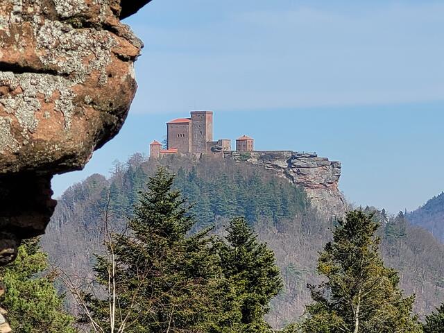 Blick auf die Reichsfeste Trifels | Foto: Markus Pacher