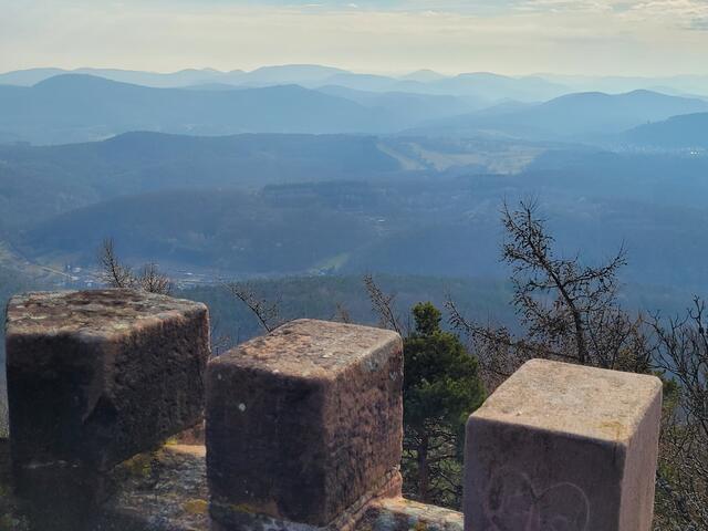 Rehbergturm | Foto: Markus Pacher