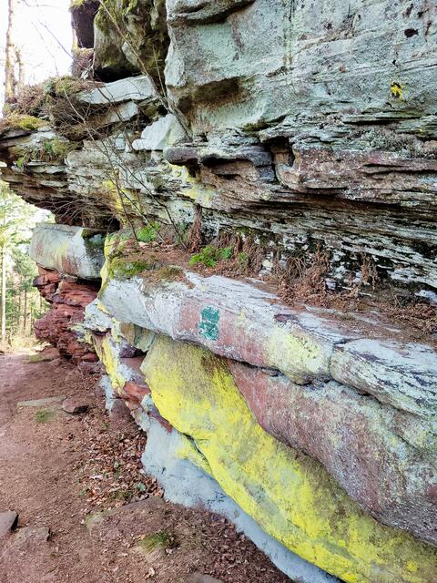 Richard-Löwenherz-Tour | Foto: Markus Pacher