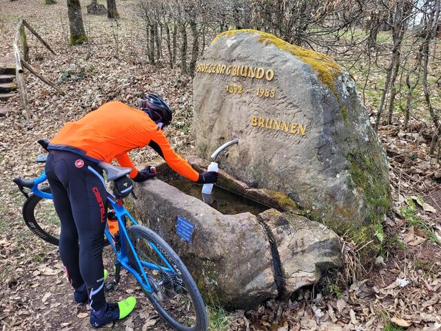 Am Prof. Georg Biundo-Brunnen | Foto: Markus Pacher