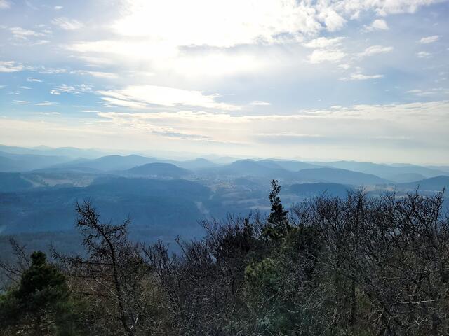 Panoramblick vom Rehbergturm | Foto: Markus Pacher