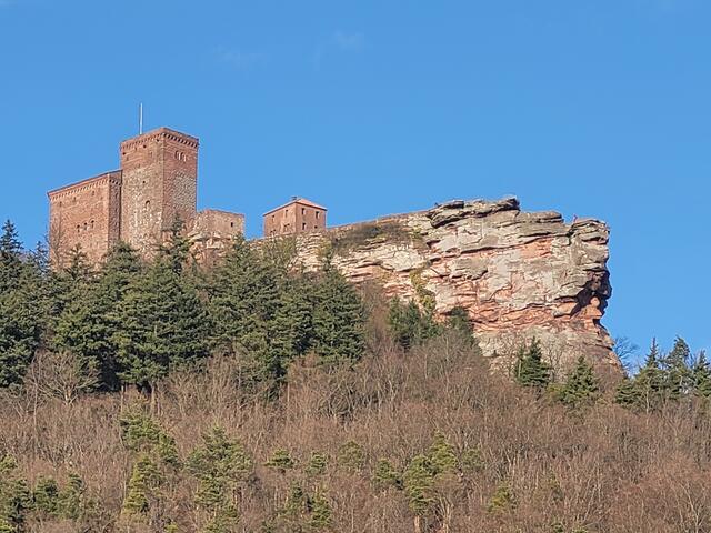 Burg Trifels | Foto: Markus Pacher