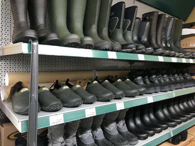 Gummistiefel in allen Varianten | Foto: Claudia Bardon