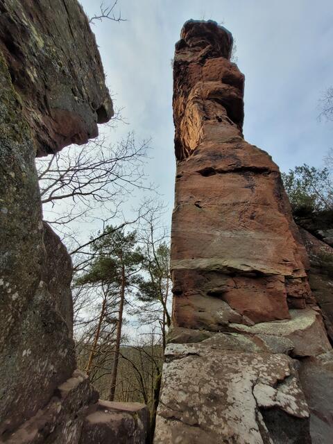 Am Dahner Felsenpfad | Foto: Markus Pacher