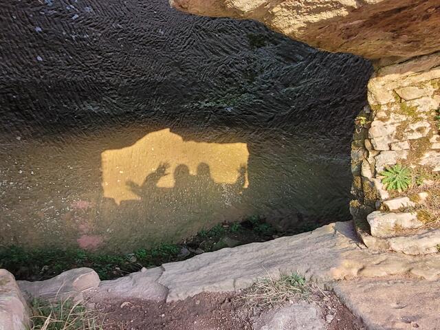 Großes Kino im Pfälzerwald | Foto: Markus Pacher