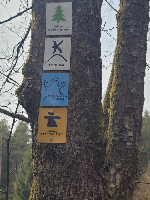 Am Dahner Felsenpfad | Foto: Markus Pacher