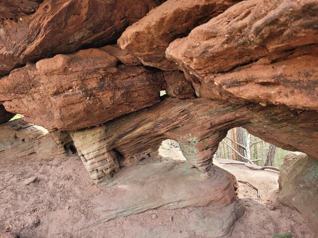Am Dahner Felsenpfad | Foto: Markus Pacher