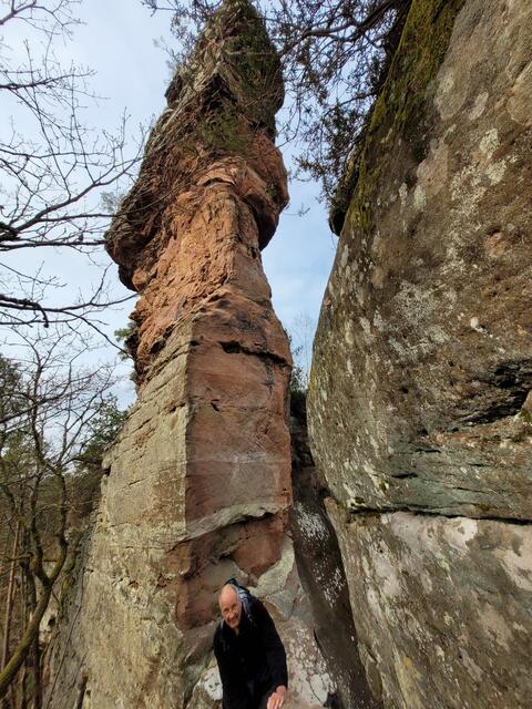 Am Dahner Felsenpfad | Foto: Markus Pacher