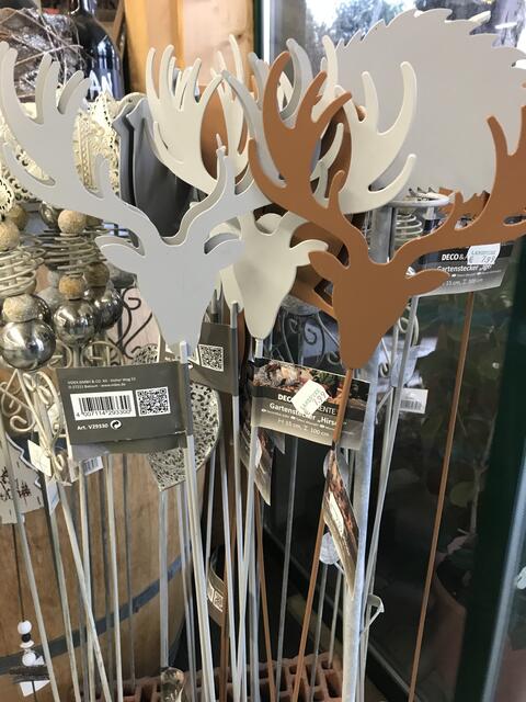 Sie haben das ganze Jahr Saison und sind ein ideales Mitbringsel.... | Foto: Claudia Bardon