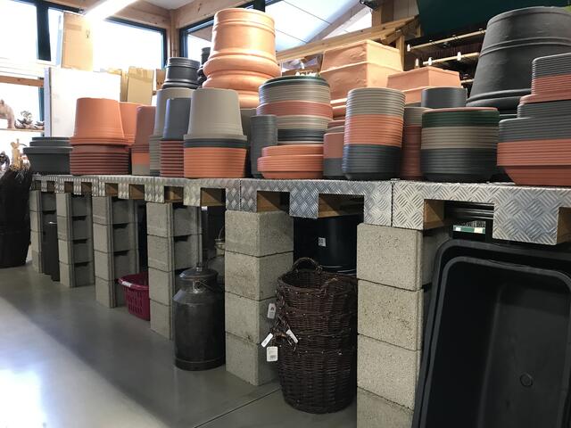 Die Auswahl ist groß.... | Foto: Claudia Bardon