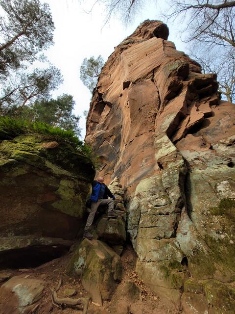 Am Dahner Felsenpfad | Foto: Markus Pacher