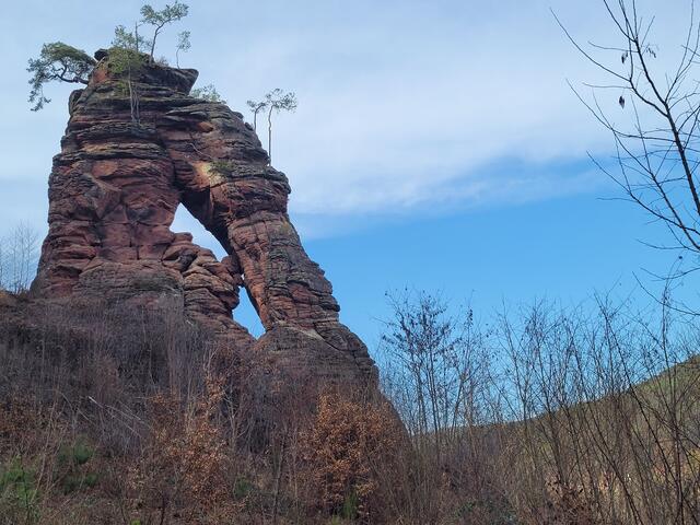 Der mächtige Torbogen des Schillerfelsen am Dahner Felsenpfad | Foto: Markus Pacher