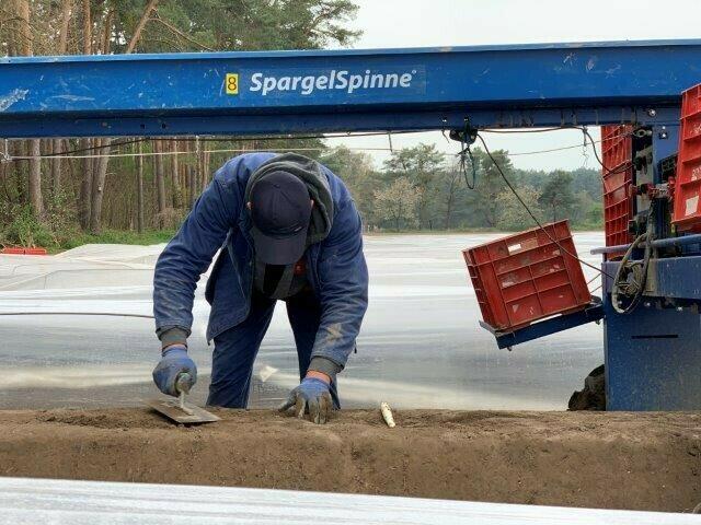 Tim Ballreich aus Dudenhofen setzt sogenannte „Spargel-Spinnen“ ein | Foto: Pfalzmarkt eG