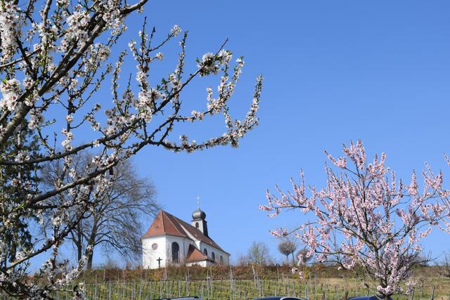 Herrlich gelegen: die Dionysiuskapelle | Foto: B.Bender