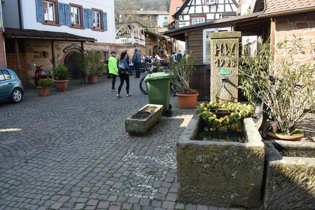 Ostern lässt schon grüßen | Foto: B.Bender