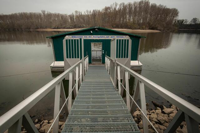 Auf zur Bootstour auf dem Altrhein bei Germersheim  | Foto: Paul Needham