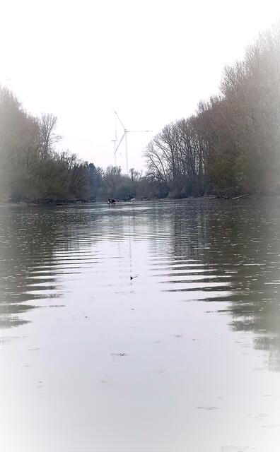 magisches, mystisches Wasser | Foto: Heike Schwitalla