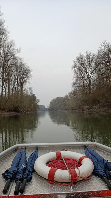 Blick übers Boot hinaus auf den Altrhein bei Germersheim | Foto: Heike Schwitalla