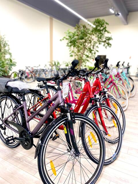 Große Auswahl an Markenfahrrädern bei Eicker Bikes  | Foto: Eicker Bikes