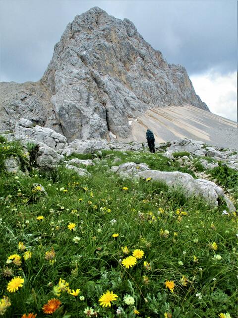 Der Triglav-Nationalpark: Ein einziger Blumenparadies | Foto: Markus Pacher