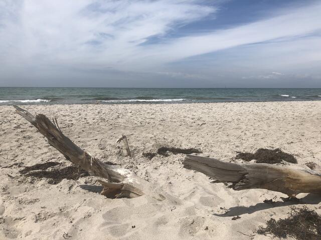 Ostsee | Foto: Franz Walter Mappes