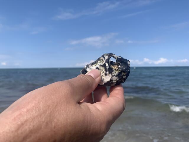 Endlich ein Hühnergott gefunden | Foto: Franz Walter Mappes