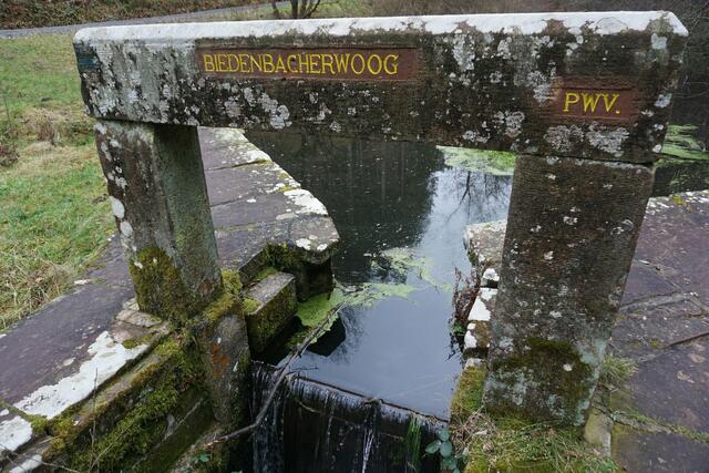 Die Stauwehranlage Biedenbachwoog ist die größte ihrer Art im gesamten Pfälzerwald. | Foto: Pacher, Markus