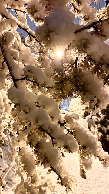 Der Schnee zauberte tolle Szenen in den Stadtteil Oggersheim  | Foto: Kim Rileit