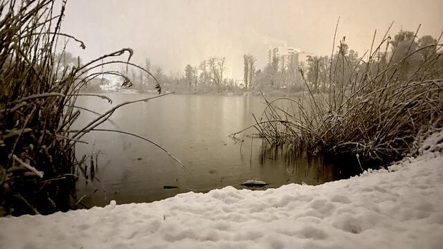 Mystisch: Der Melmweiher sah durch das Schneetreiben aus wie in einem Märchen | Foto: Kim Rileit