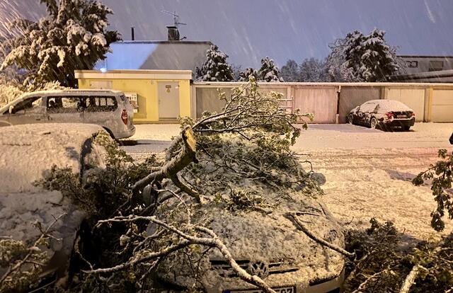 Auch parkende Autos wurden von Ästen beschädigt  | Foto: Kim Rileit