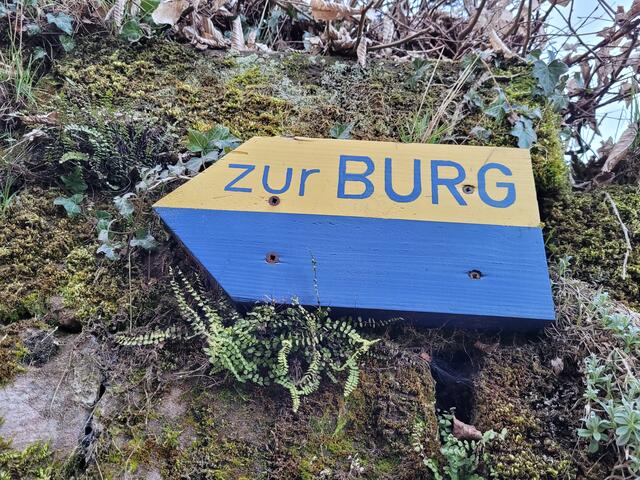 Foto: Pacher, Markus