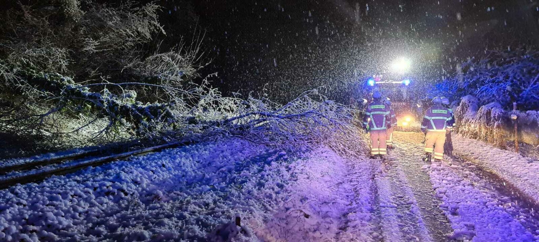 Gefahr durch herabfallende Äste Wald und öffentliche Anlagen mit