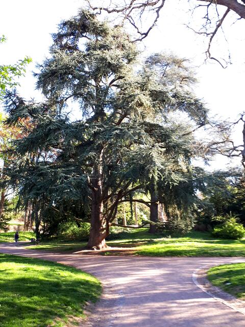 Augen auf für das Große....