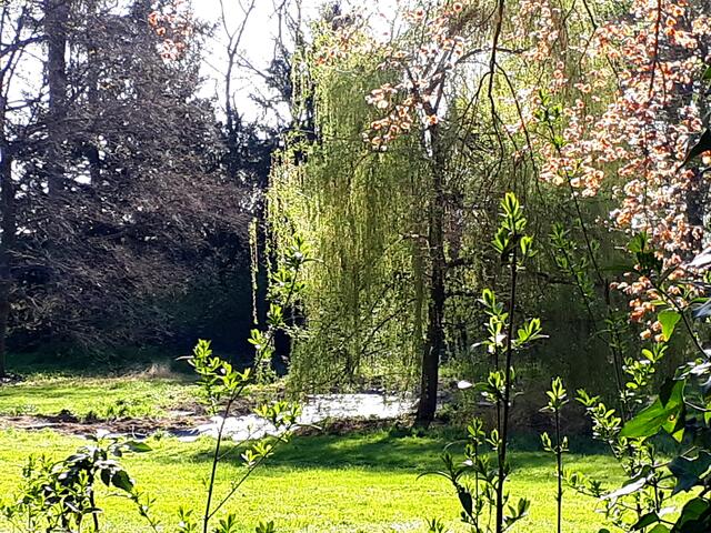 Gibt es "Lieblingsorte"?