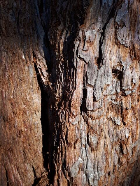 Mit allen Sinnen entdecken.