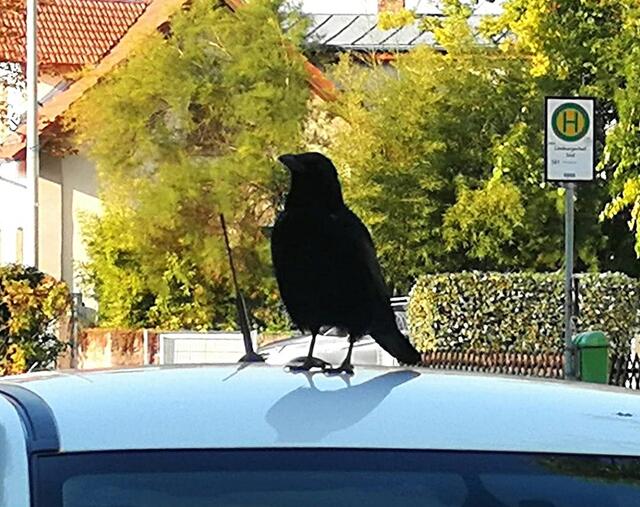 Foto: Sandra Eichstädt