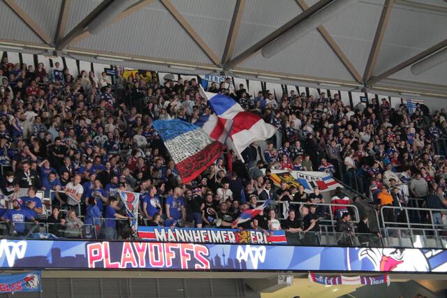 Die Fans der Adler Mannheim sorgten für gute Stimmung in der SAP-Arena in Mannheim (Foto Michael Sonnick)