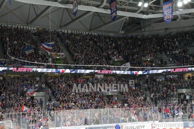 Die Fans der Adler Mannheim sorgten für gute Stimmung in der SAP-Arena in Mannheim (Foto Michael Sonnick)