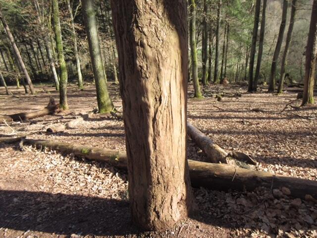 Foto: Burkhart
