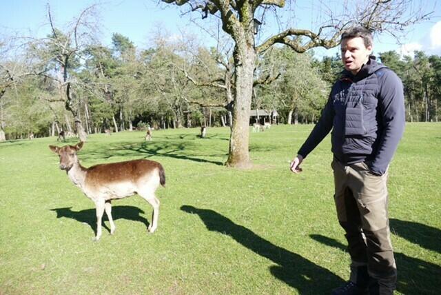Wildparks Forst-Ing. Daniel Kraus bei seiner Führung  | Foto: Burkhart
