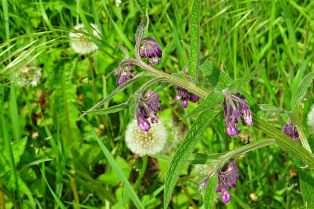 Foto: Brigitte Melder