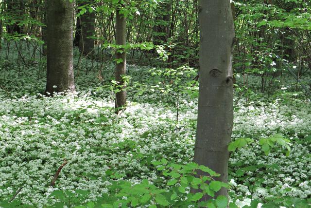 Foto: Brigitte Melder