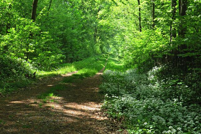 Foto: Brigitte Melder