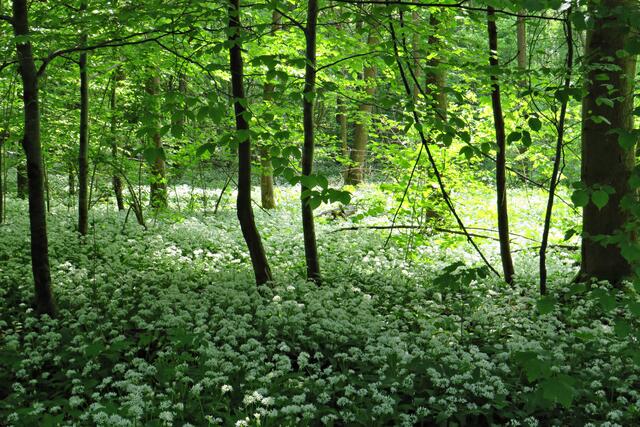 Foto: Brigitte Melder