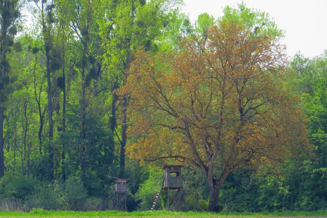 Foto: Brigitte Melder