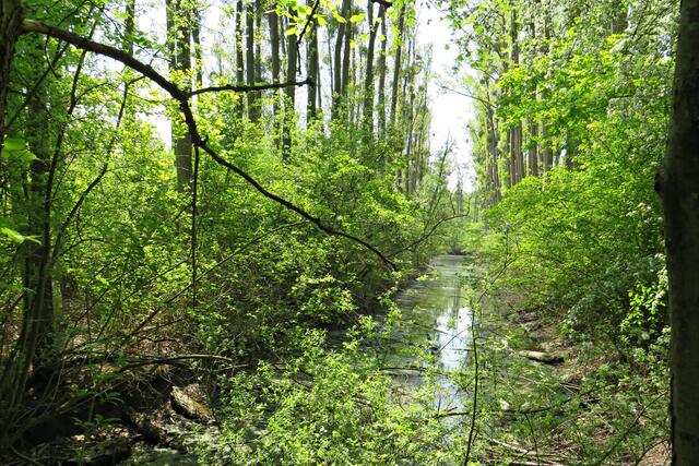 Foto: Brigitte Melder