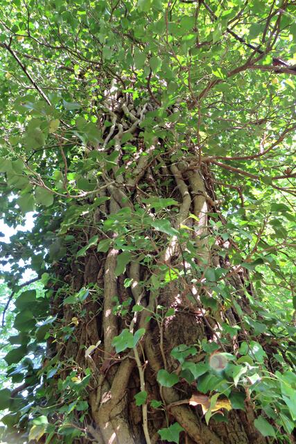 Foto: Brigitte Melder