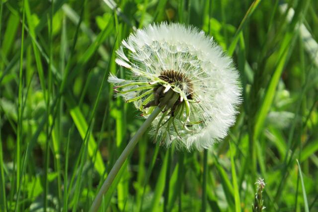 Foto: Brigitte Melder