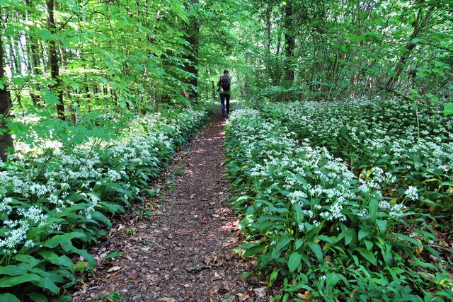 Foto: Brigitte Melder