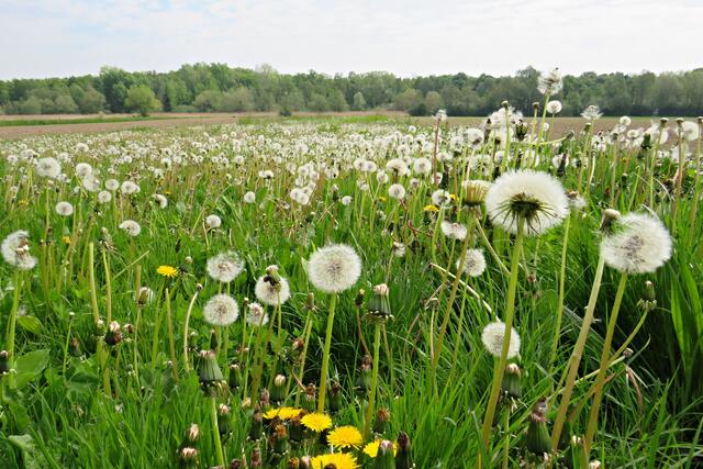 Foto: Brigitte Melder